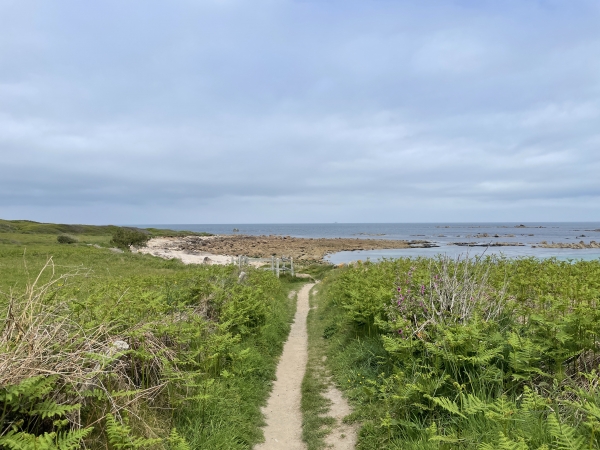 Le Sentier du Littoral retrouve le bord de mer à l'Anse des Longs Camps.