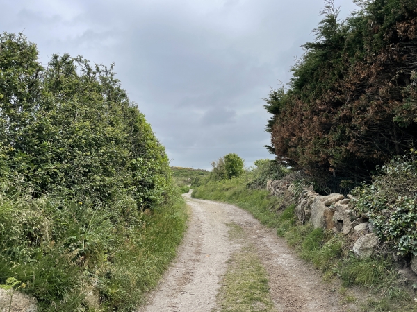 Les prés sont souvent bordés de murs de pierres sèches et de haies qui nous abritent du vent du cap Lévi.