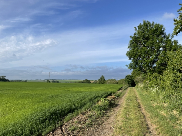 Dès la sortie du bourg, nous trouvons notre premier chemin.