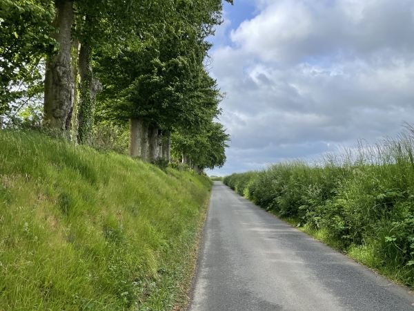 Nous suivons les petites routes pour rejoindre les chemins qui contournent Auppegard.