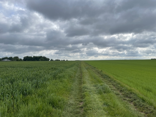 Nous contournons Auppegard par les chemins des champs.