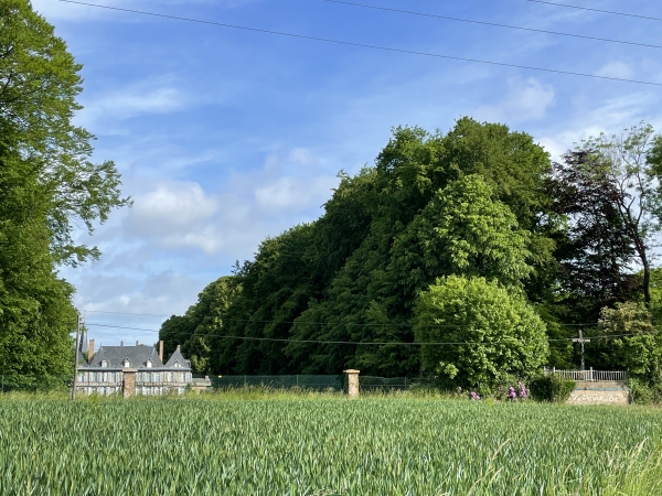 Château d'Auppegard et calvaire en bordure du parc du château.