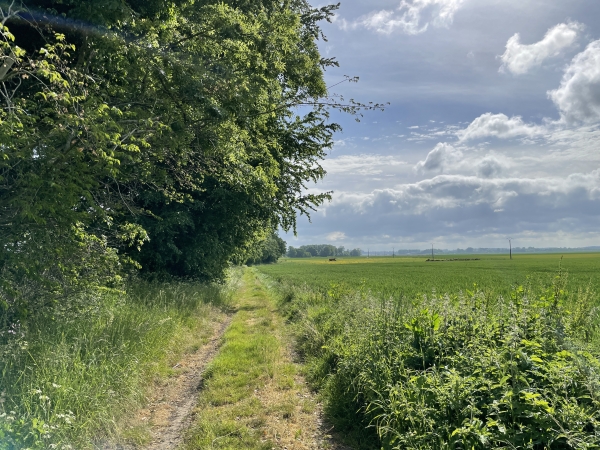 Nous continuons le tour d'Auppegard, avec ici le chemin des Forrières du Midi.