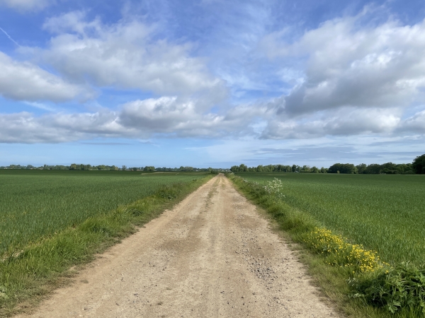 Nous marchons maintenant vers le nord.