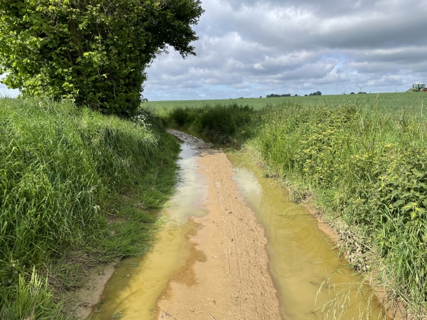 Au moment de tourner vers l'ouest, notre chemin est inondé en raison de l'orage de cette nuit. Je n'attribue pas un parapluie rouge à l'itinéraire puisqu'il est possible d'éviter l'eau en passant par le champ à droite.