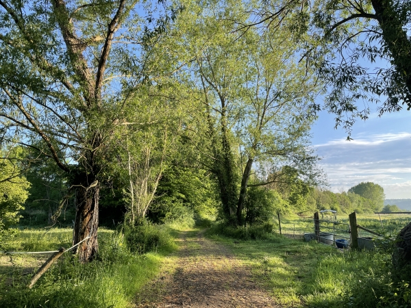 Nous commençons par suivre le charmant chemin du Roy jusqu'à la rue Jules Verne.
