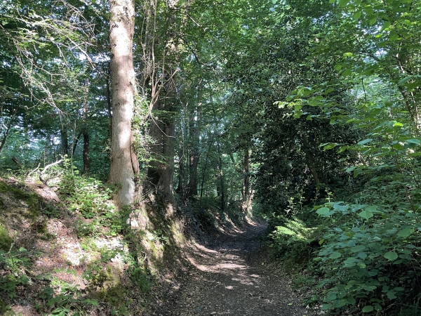 Nous descendons maintenant en direction de la D164.