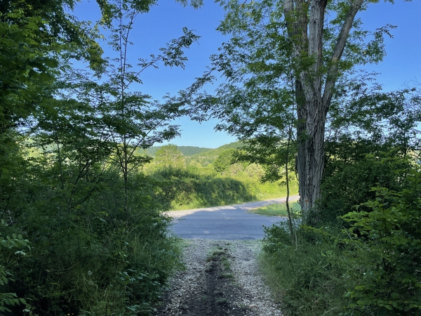 Voilà la D164, nous allons la traverser et continuer en face sur le chemin des Marionnettes.