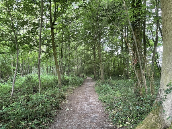 Passage boisé en bordure du bourg. L'itinéraire est agrémenté de nombreux petits bois qui en font une randonnée très variée. (Ce qui n'est pas toujours le cas dans la campagne agricole du Neubourg.)