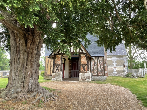 Nous arrivons devant l'église Saint-Ouen du Thuit-Simer, excentrée du bourg (et proche du château). L'if du cimetière est classé.