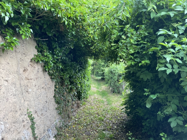 Le chemin se glisse entre le mur du château et les maisons voisines.