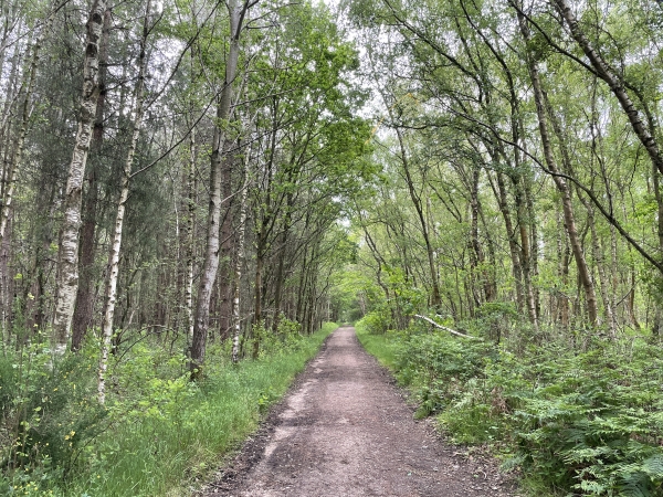 A la sortie du Thuit-Simer, nous traversons le bois de la Vente de la Côte Jolie.