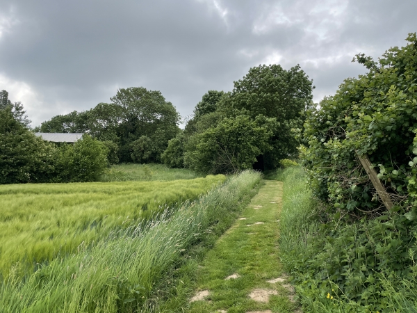 Chemin entre la Lande et le Feugré. La qualité de l'entretien des chemins est vraiment incroyable. On se croirait dans un jardin.