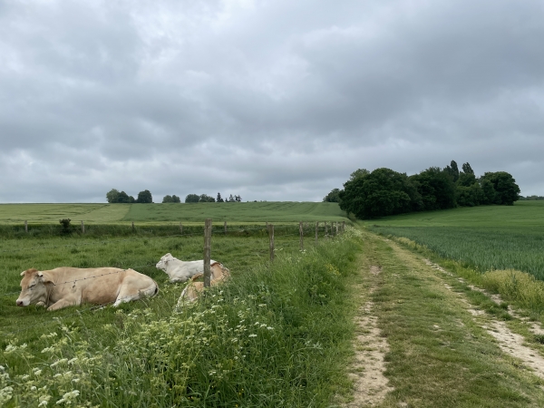 Nous marchons vers le Bosc Féré, non loin de Saint-Pierre-des-Fleurs.