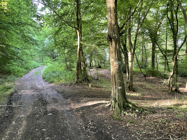 A la sortie du chemin de la Fontaine, nous trouvons le GR224RD qui descend vers la vallée de la Risle.