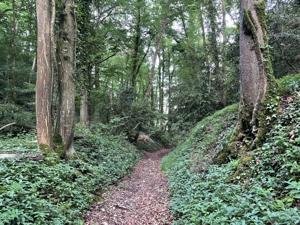 Descente vers la vallée de la Risle.
