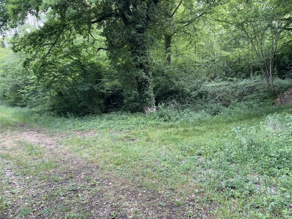 Nous quittons ici l'ancienne voie ferrée, et tournons à droite pour remonter sur le plateau.