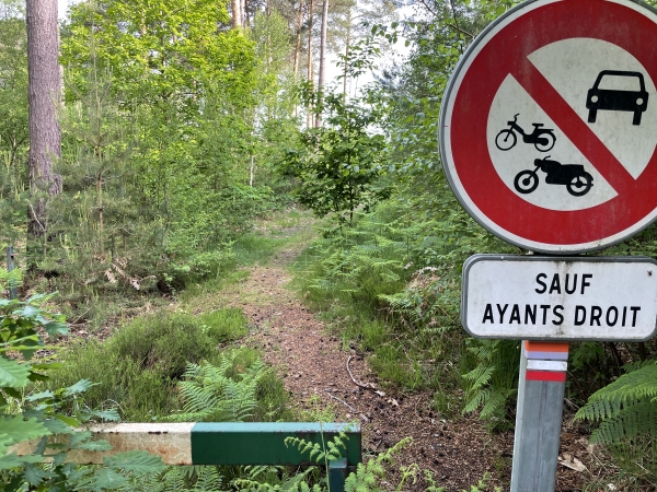 Nous retrouvons le GR224RD, et le suivons vers le nord.