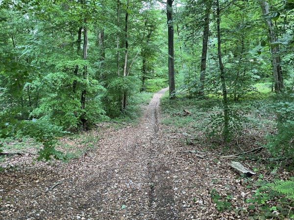 Le GR224RD descend maintenant vers la Petite Vallée.