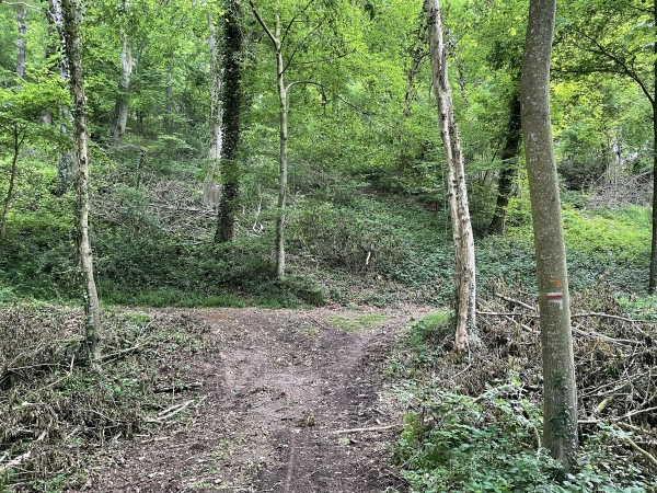 Arrivés dans la Petite Vallée, nous quittons le GR224RD qui tourne à gauche. Nous tournons à droite, vers l'est.