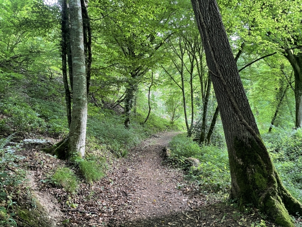 Encore un chemin qui n'est pas sur la carte de notre application, mais qui est bien là, et même plutot agréable comme on le voit.