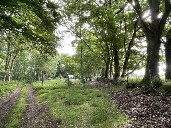 Nous rejoignons le plateau, à l'ouest de Thierville. A cette fourche, nous prenons le discret chemin, à droite sur la photo.