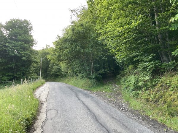 Nous sortons du bourg par la rue de Beauchêne, et la quittons ici à droite, pour monter dans le bois de la Grande Pièce.