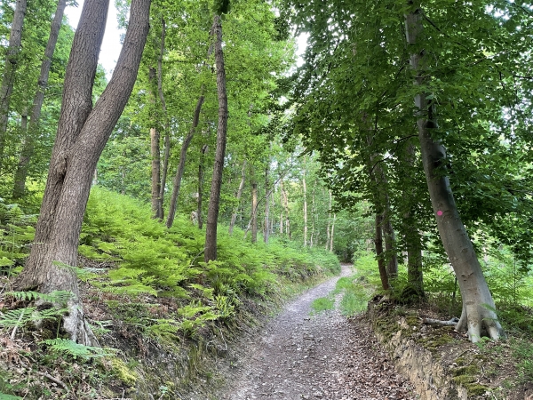 Les coteaux boisés entourent les terres agricoles du hameau de Beauchêne qui se trouve au sommet de la colline.