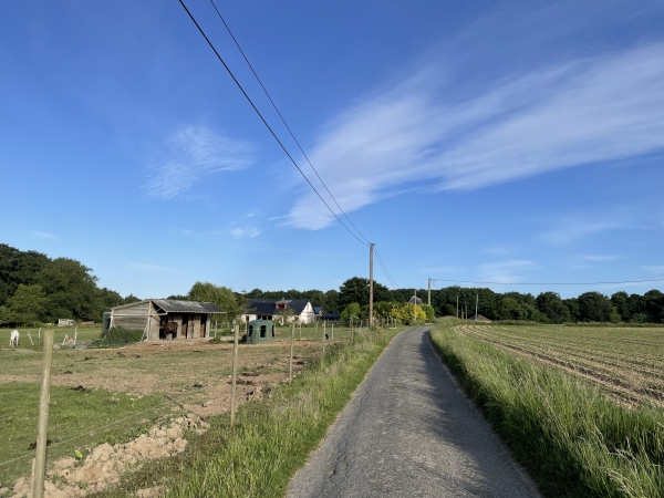 Nous faisons un bref passage au sommet, avant de redescendre dans le bois.