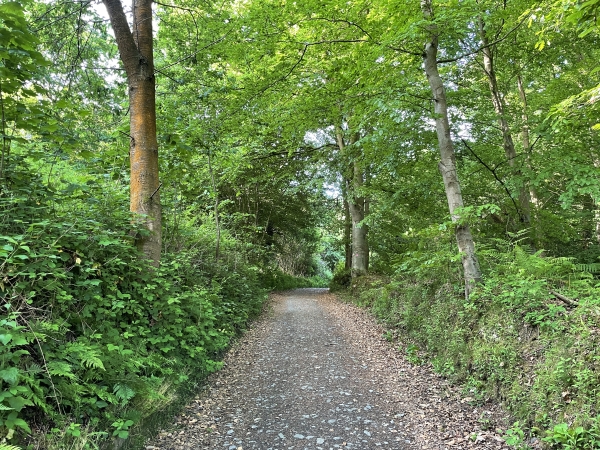 Ce large chemin empierré relie le hameau de Beauchêne à l'abbaye du Valasse.