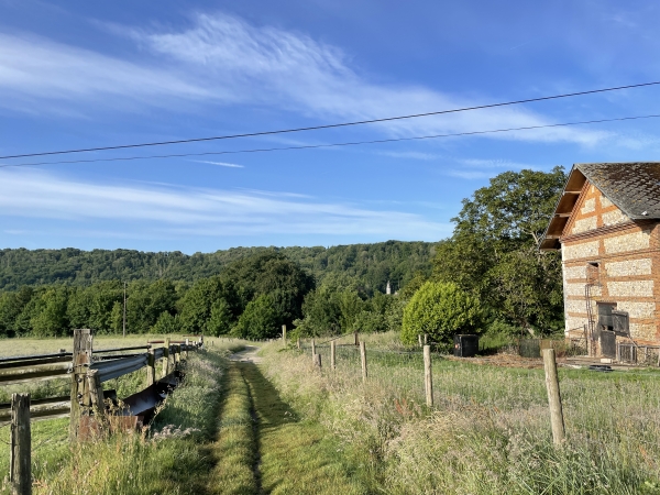 Nous arrivons dans la vallée du Bolbec. On distingue, en face, l'une des tours de l'abbaye du Valasse.