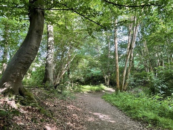 Nous marchons maintenant sur le GRP Caux Vallée de Seine, avec quelques passages boisés.
