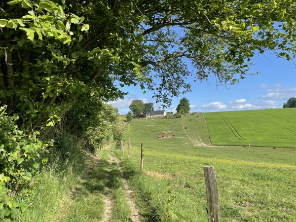 Le GRP suit une ancienne voie romaine qui reliait Fécamp à Lillebonne.