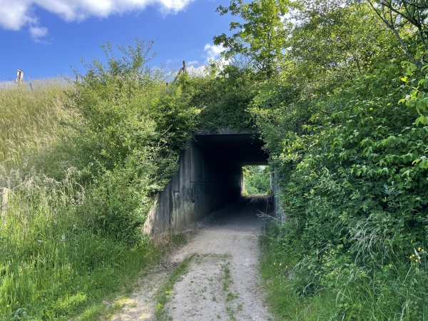 Nous passons sous la D487 pour entrer dans Gruchet-le-Valasse.