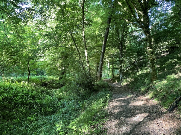 Nous longeons le fossé des eaux de ruissellement en direction de la Petite Vallée.