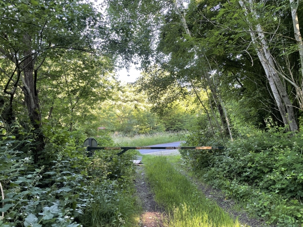 Juste avant d'arriver à la petite route qui monte vers les Crottes, nous tournons à droite sur un chemin qui est à droite du photographe.