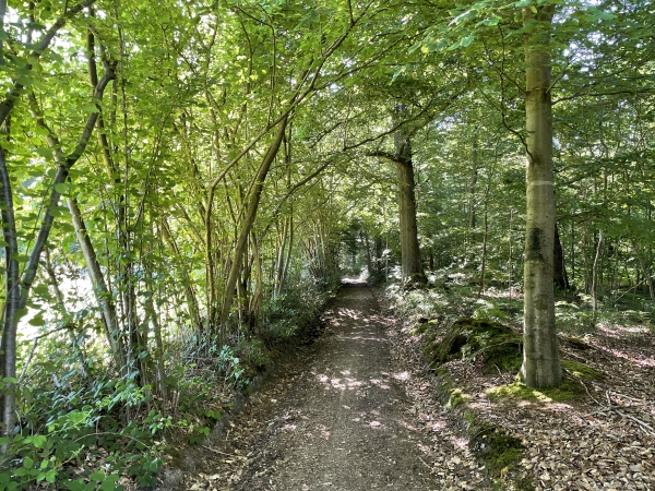 Voilà maintenant l'ambiance "voie antique carrossable".