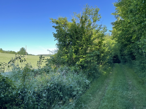 La vallée de Frénette s'étale en pente douce vers la colline de Thierville.