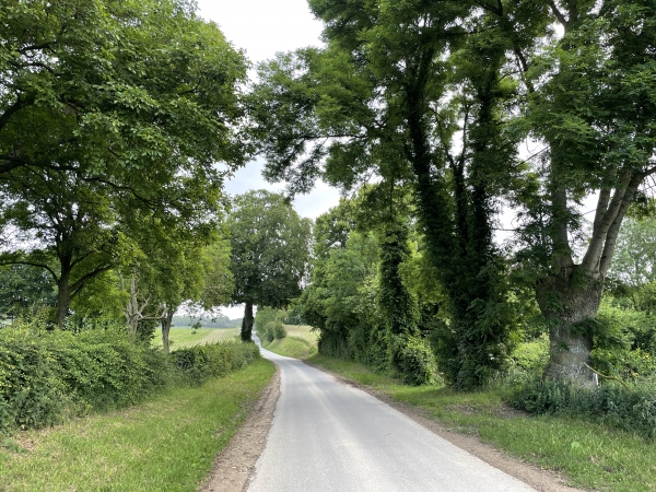 Nous montons la route du Bourg, et allons prendre le premier chemin à droite.