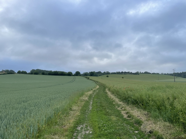 Nous suivons le chemin des Fossettes qui monte en pente douce vers le hameau de la Montagne.
