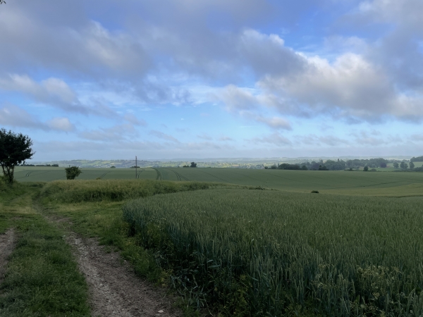 Malgré le temps nuageux et le peu de lumière de ce début de matinée, les panoramas sur le Pays-de-Bray restent magnifiques.