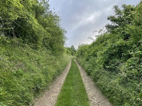 Dernière petite montée avant le hameau de la Montagne.
