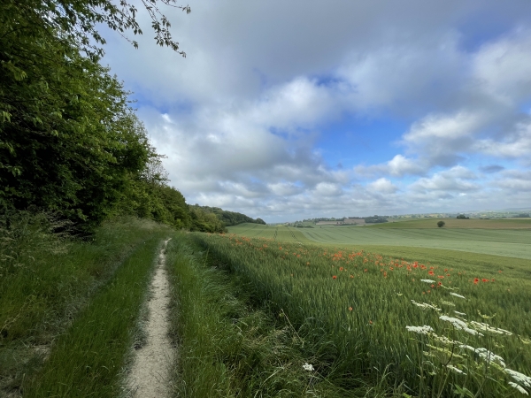 Dans sa deuxième moitié, le chemin avance à l'extérieur du bois de Macmont, et permet de profiter des panoramas.