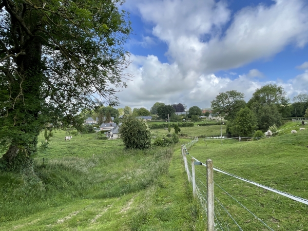 Le chemin descend vers les sources, entre vaches et moutons.