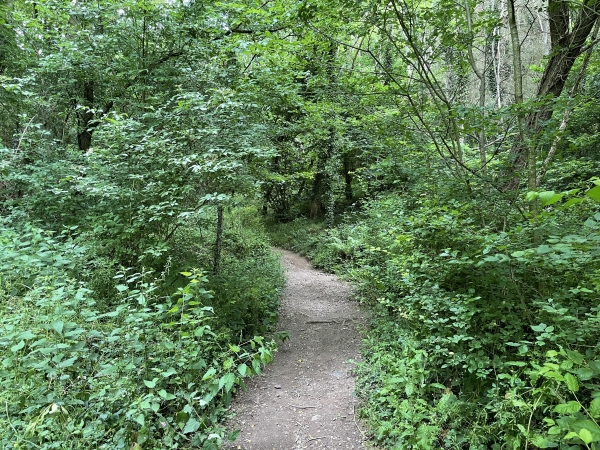 Nous sommes guidés par des poteaux indicateurs réguliers, et commençons la montée sur les Rochers des Parcs.