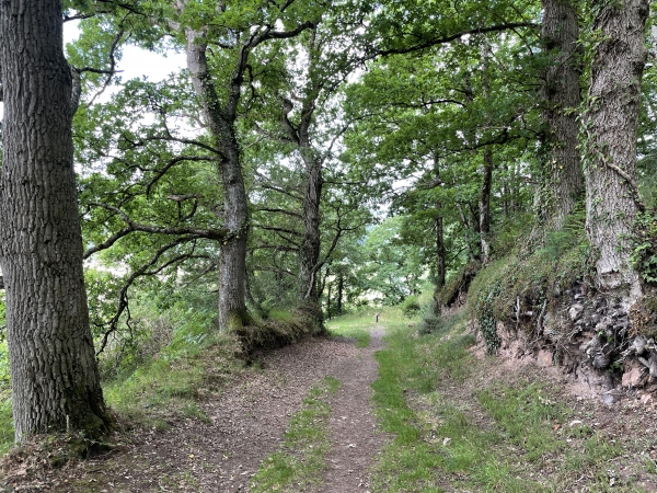 En face de nous, on peut distinguer l'un des nombreux poteaux indicateurs de cet itinéraire.