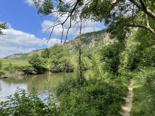Nous sommes arrivés dans la vallée, nous suivons maintenant le sentier qui longe l'Orne.