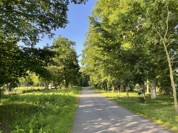 Nous sommes sur la charmante avenue du Parc, et la suivons jusqu'au bout.