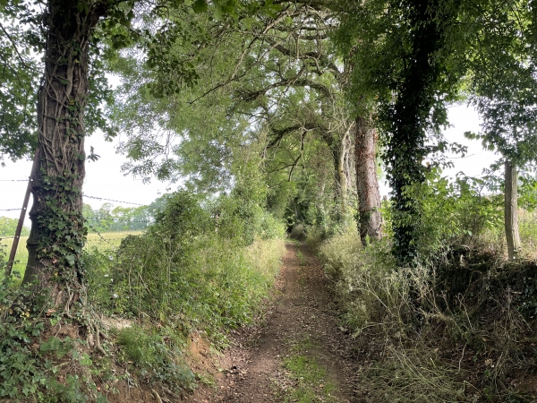 Nous prenons le chemin des Ballières qui contourne le centre du bourg.
