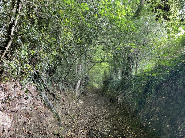 Chemin du Mesnil Aumont.